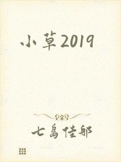 小草2019