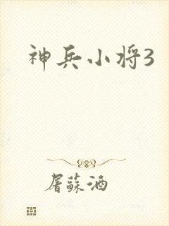 神兵小将3