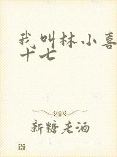 我叫林小喜今年十七