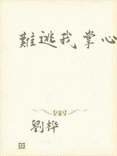 难逃我掌心封面