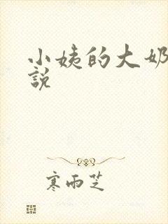 小姨的大奶子小说