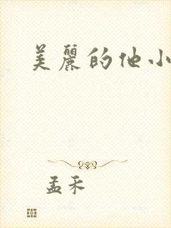 美丽的他小说封面