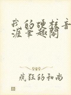 我的硬核音乐生涯笔趣阁