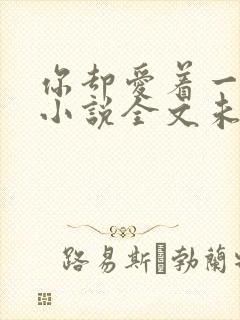 你却爱着一个他小说全文未删减免费