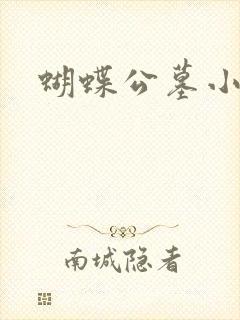 蝴蝶公墓小说封面