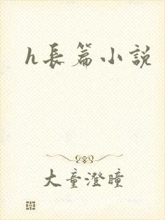 h长篇小说封面