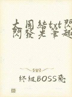 大团结txt闪闪发光笔趣阁