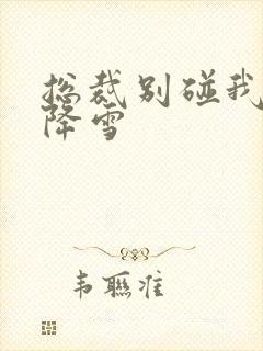 总裁别碰我 韩降雪