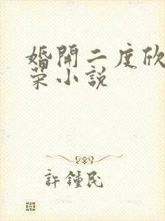 婚开二度欣欣向荣小说封面