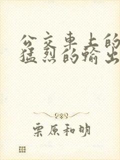 公交车上的诗请猛烈的输出阅读