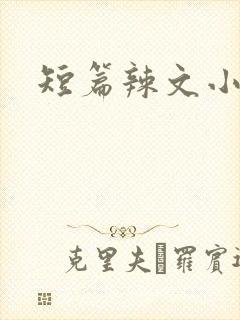 短篇辣文小说