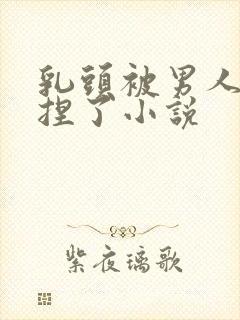 乳头被男人使劲捏了小说