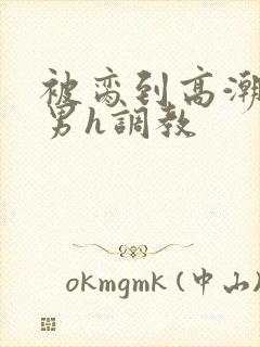 被脔到高潮的直男h调教封面