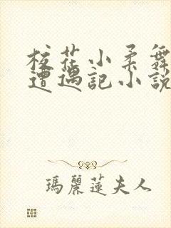 校花小柔舞蹈室遭遇记小说封面