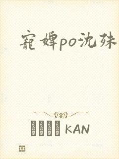 宠婢po沈殊辞封面