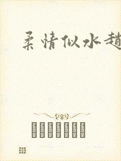 柔情似水赵雅儿