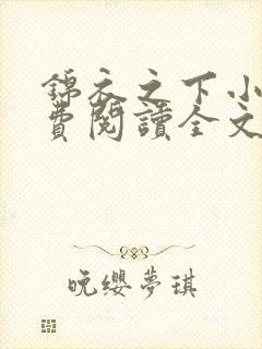 锦衣之下小说免费阅读全文无删减