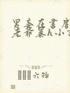 男妾在书房边被老爷暴h小说