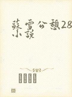 苏雪公憩28篇小说