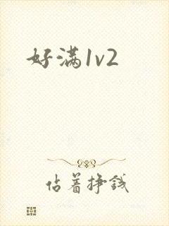 好满1v2