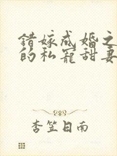 错嫁成婚之总裁的私宠甜妻