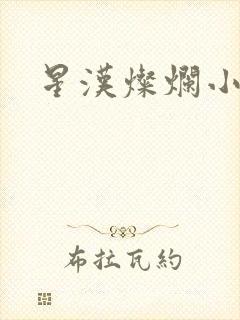 星汉灿烂小说
