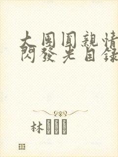 大团圆亲情会闪闪发光目录封面