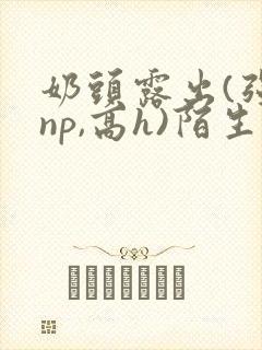 奶头露出(强jnp,高h)陌生人小说小说封面