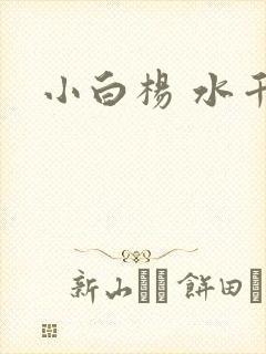小白杨 水千丞
