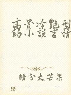 高贵冷艳型女主的小说言情