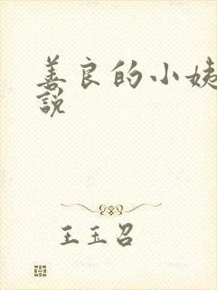 善良的小姨子小说封面