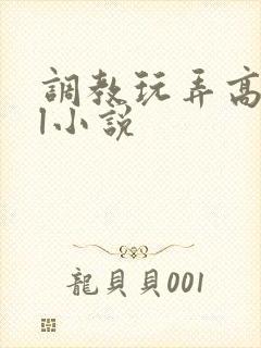 调教玩弄高潮gl小说