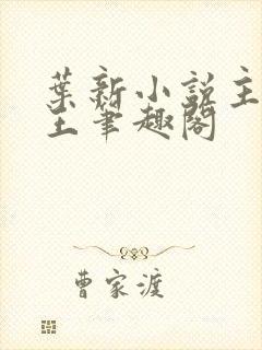 叶新小说主角兵王笔趣阁封面