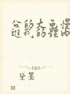 公的大龟慢慢挺进我的体内视频