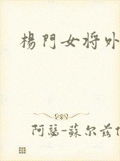 杨门女将外传