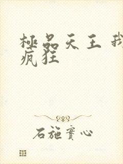 极品天王 我本疯狂