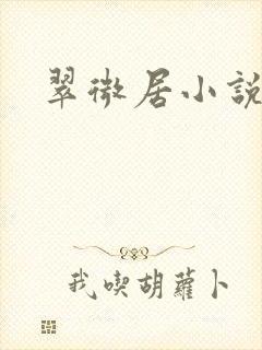 翠微居小说