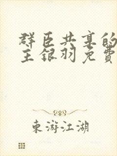 群臣共享的小公主银羽免费阅读