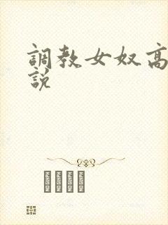 调教女奴高h小说