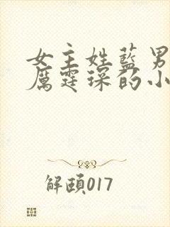 女主姓蓝男主叫厉霆琛的小说封面