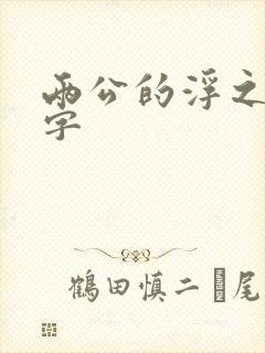 两公的浮之手中字封面