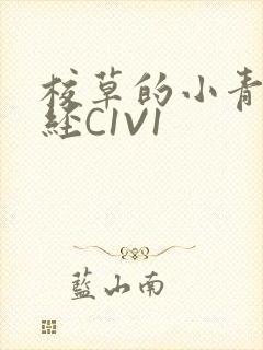 校草的小青梅不经C1V1