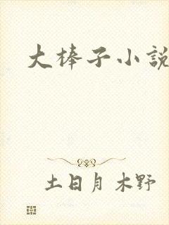 大棒子小说