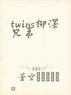 twins柳泽兄弟