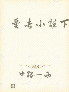 爱去小说下载网