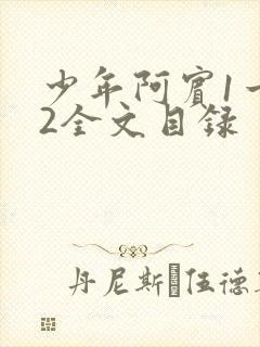 少年阿宾1一72全文目录封面