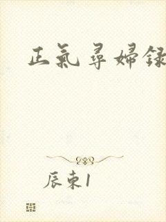 正气寻妇录封面