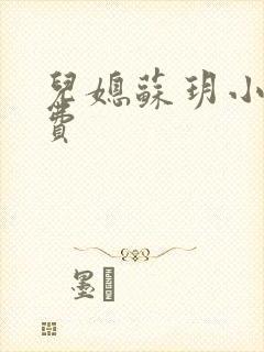 儿媳苏玥小说免费