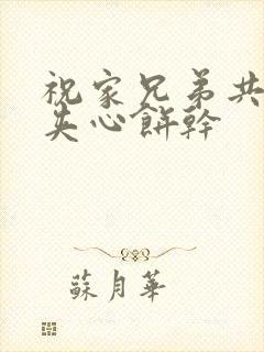 祝家兄弟共享后夹心饼干