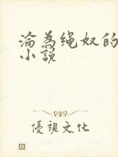 沦为绳奴的女警小说